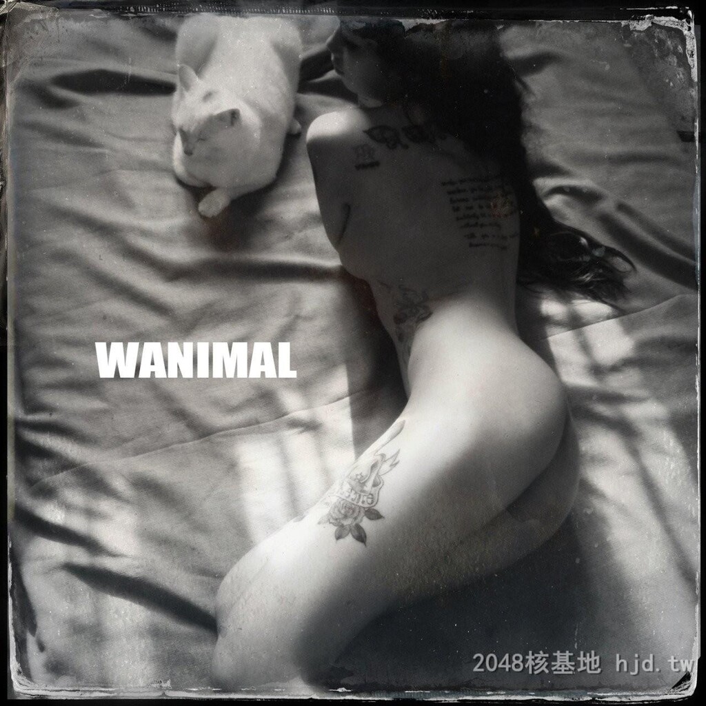 王动WANIMAL作品56[10p]第0页 作者:Publisher 帖子ID:273256 TAG:自拍图片,網友自拍,2048核基地