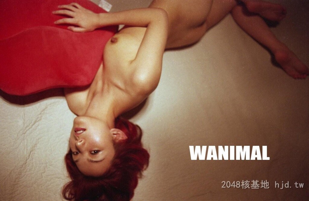 王动WANIMAL作品173[10p]第0页 作者:Publisher 帖子ID:285452 TAG:自拍图片,網友自拍,2048核基地